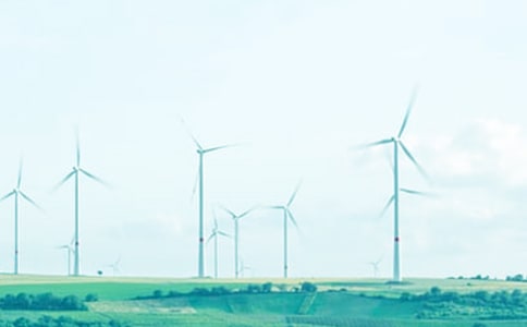 調(diào)皮的春風(fēng)作文