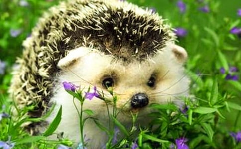 ���ͯԒ����