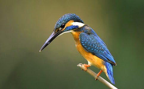 �P(gu��n)�ڴ��B����