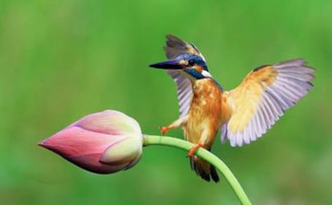 �˽����n��(bi��o)���꼉(j��)�ԡ����B����(y��u)��̰��O(sh��)Ӌ(j��)