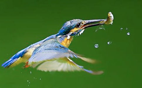 ���B���`��ɢ��