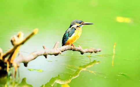 �����B���̰��O(sh��)Ӌ(j��)