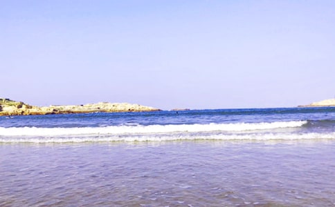 �����T��������300��9ƪ