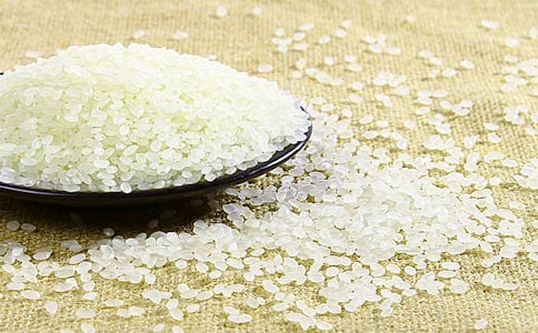 大米的變身想象作文