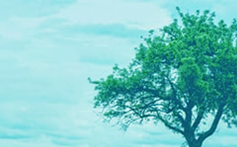 ���(sh��)���������ģ����\15ƪ��