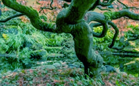 ���������ӛ