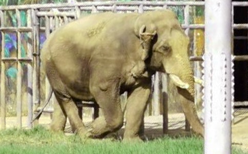 ����ͯԒ���ľ�Ʒ[2ƪ]