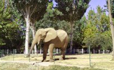 大象版四年級下冊科學教學工作計劃(通用16篇)