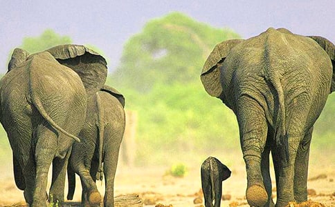 ���x����ͯԒ���ąR��9ƪ