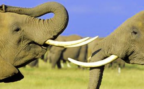 ���ᣩ����ͯԒ����