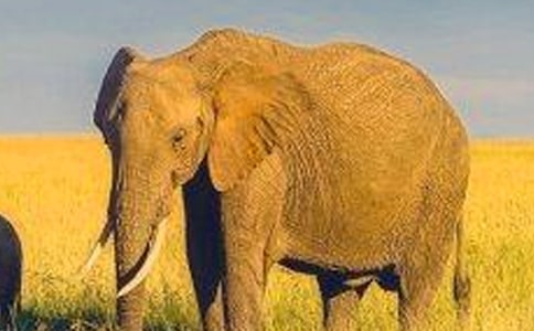 �����A������ͯԒ���ĺϼ�8ƪ