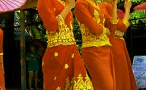 傣族風(fēng)俗的作文