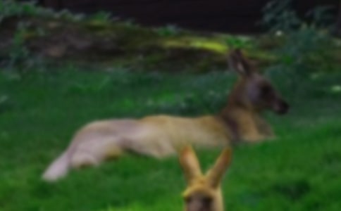 С���w�����������̰���ͨ��11ƪ��