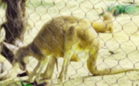 �P(gu��n)�ڴ��������