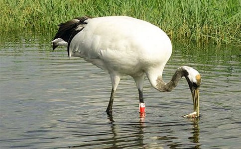 �P(gu��n)�ڡ������ĵ���Q���̌W(xu��)�̰�