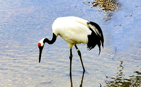 19�������ĵ���Q