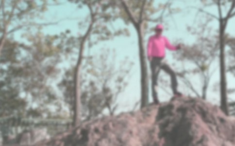 ��ɽ������}����