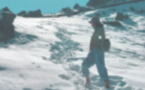 登山的游記作文12篇