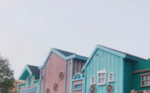 關(guān)于迪士尼的游記作文