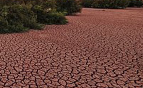 地球在呻吟作文