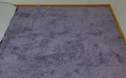 地毯下的塵土教案