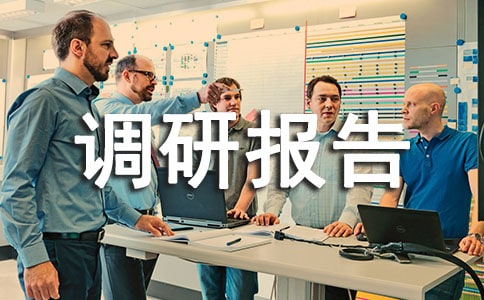 工業(yè)園區(qū)配套功能建設(shè)調(diào)研報(bào)告