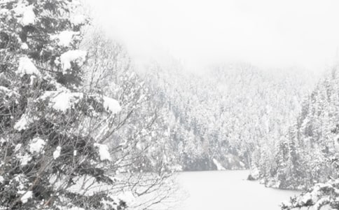 冬季活動(dòng)方案