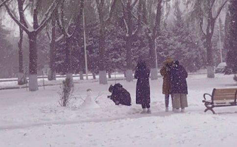 �趬��ů�(y��ng),���ҽB�d����(m��ng)ɢ���S�P