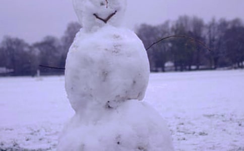 �������Č���