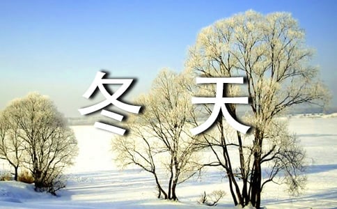 觀察冬天景色日記400字3篇