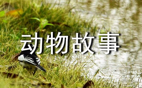 ���x�������ͯԒ������7ƪ