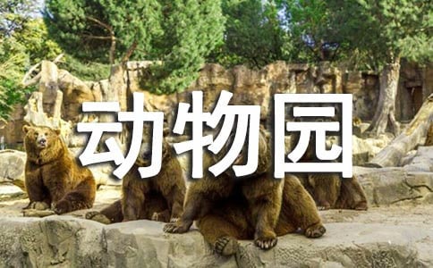 上海野生動物園游記優(yōu)秀作文