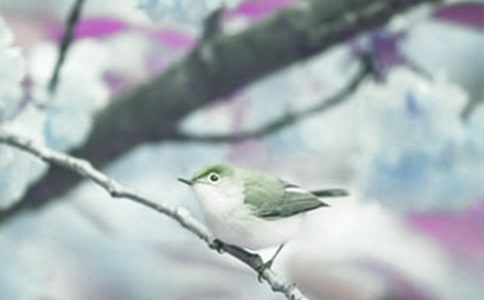 �^���(d��ng)ֲ������ķ���