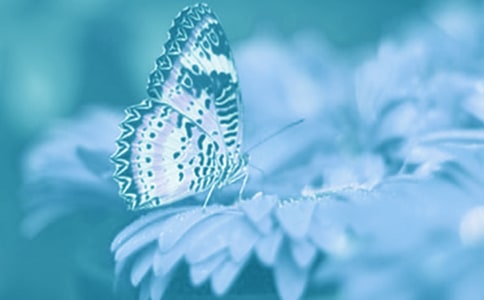 ���P(gu��n)��ֲ����^������