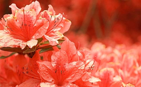 ���N���^����ӛ