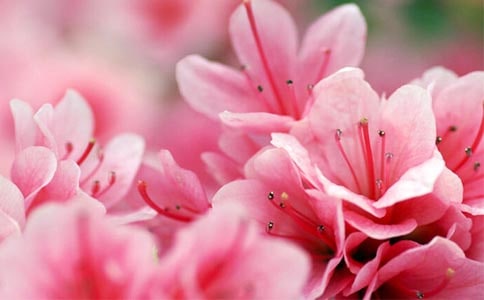 �����x�����N������3ƪ