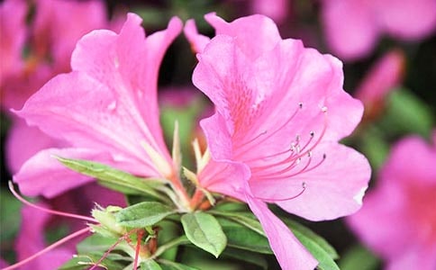 �^����N������400�֣�ͨ��69ƪ��