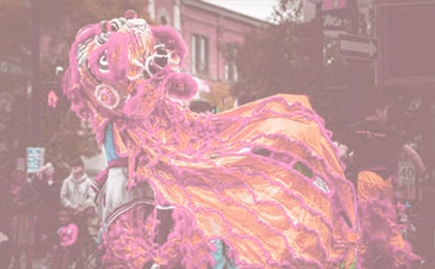 ���¶�����������