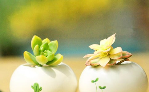 �����^����ӛ����15ƪ