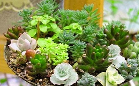 �����^����ӛ���x15ƪ