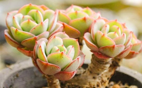 �����^����ӛ�����x22ƪ��