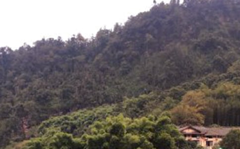 �P(gu��n)�ڶ�üɽ��ӛ����