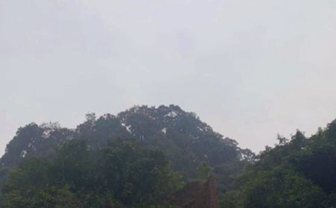 游記峨眉山作文15篇