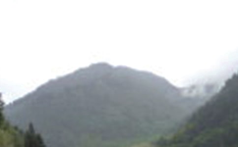 ��üɽ��ӛ����