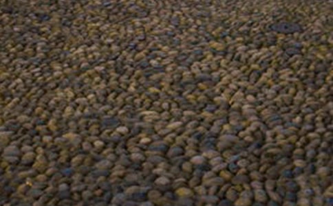 ����һ�w�Z��ʯ����