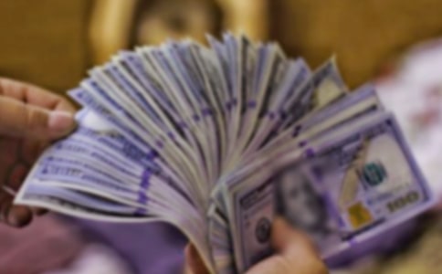 發(fā)財樹觀察日記