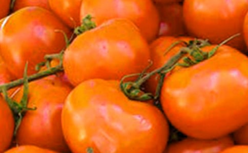 ������̫ꖡ��x��� 