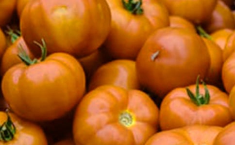 ���ϼ������ѳ�������26ƪ