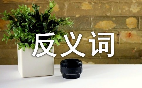 ���ڱ��н��x�~�����x�~��ʲô_���ڱ��еĽ�ጼ����ʾ��