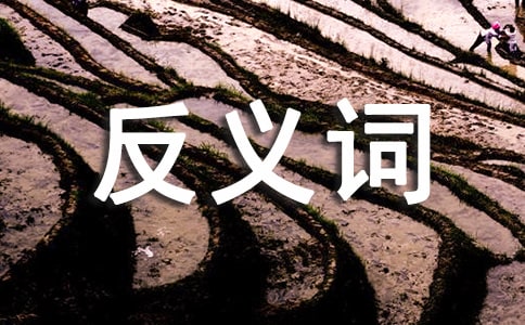 һ���Ƿ��x�~�ĳ��Z